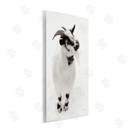Deborah Revell | White Little Goat