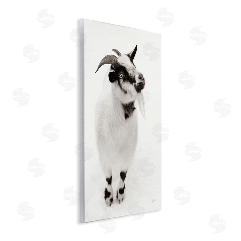 Deborah Revell | White Little Goat