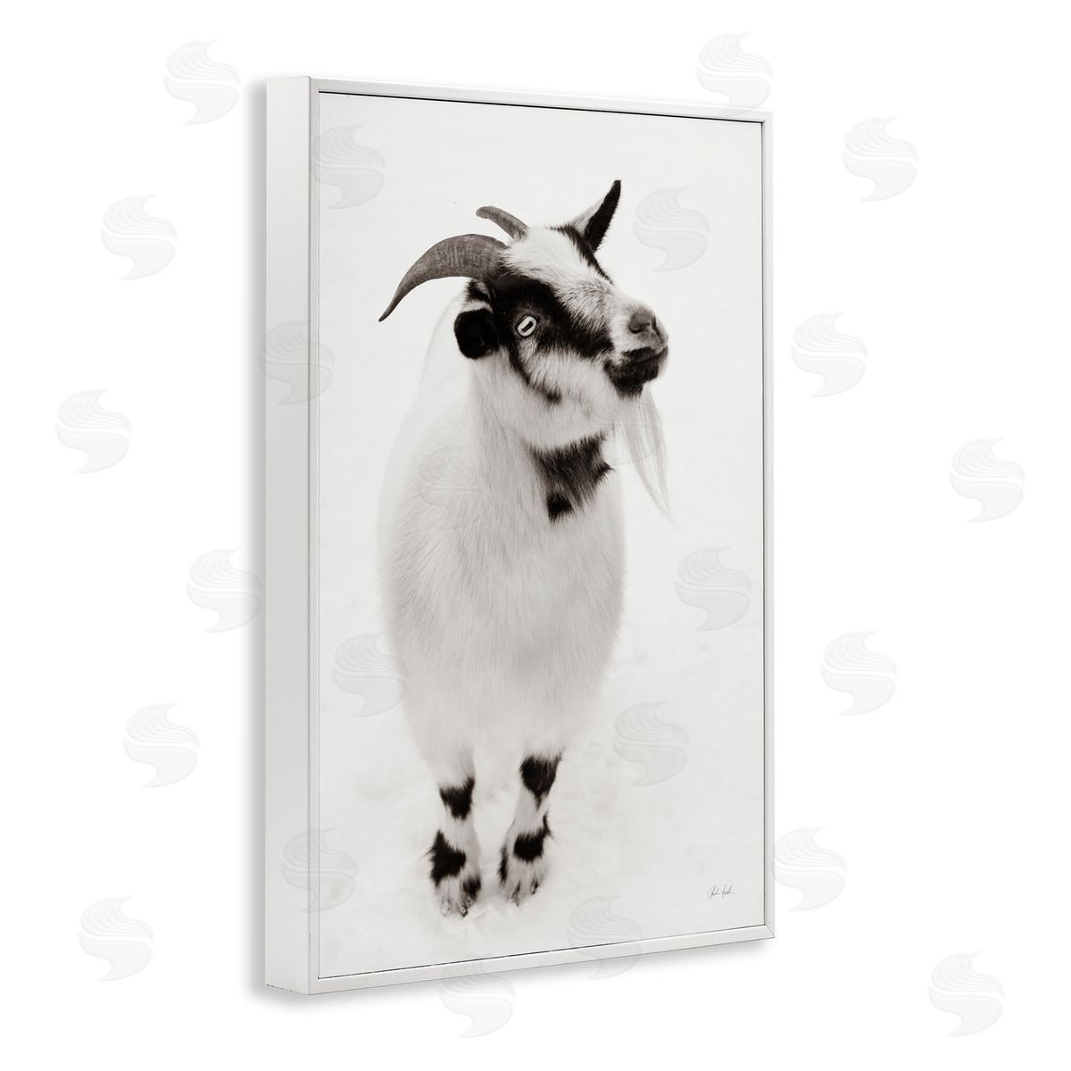 Deborah Revell White Little Goat Canvas Wall Art Print