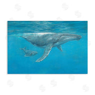 David Stribbling | Humpback Whale Underwater