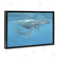 David Stribbling | Humpback Whale Underwater