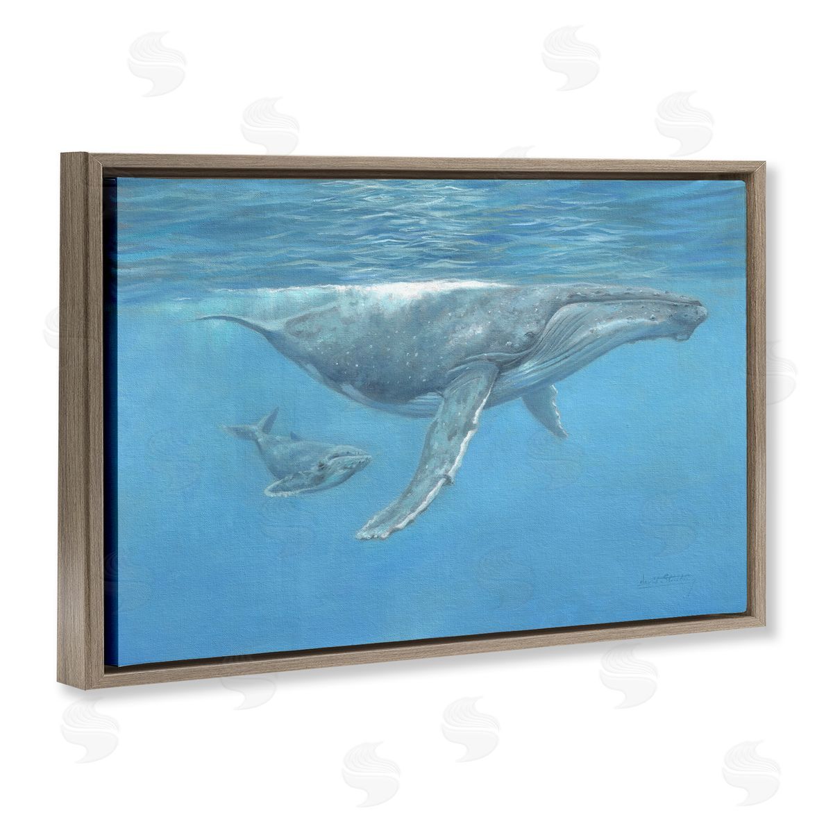 David Stribbling Humpback Whale Underwater Canvas Wall Art Print