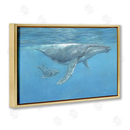 David Stribbling | Humpback Whale Underwater