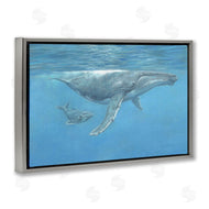 David Stribbling | Humpback Whale Underwater