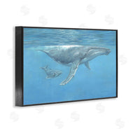 David Stribbling | Humpback Whale Underwater