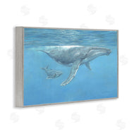 David Stribbling | Humpback Whale Underwater