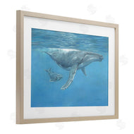 David Stribbling | Humpback Whale Underwater
