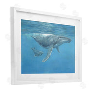 David Stribbling | Humpback Whale Underwater