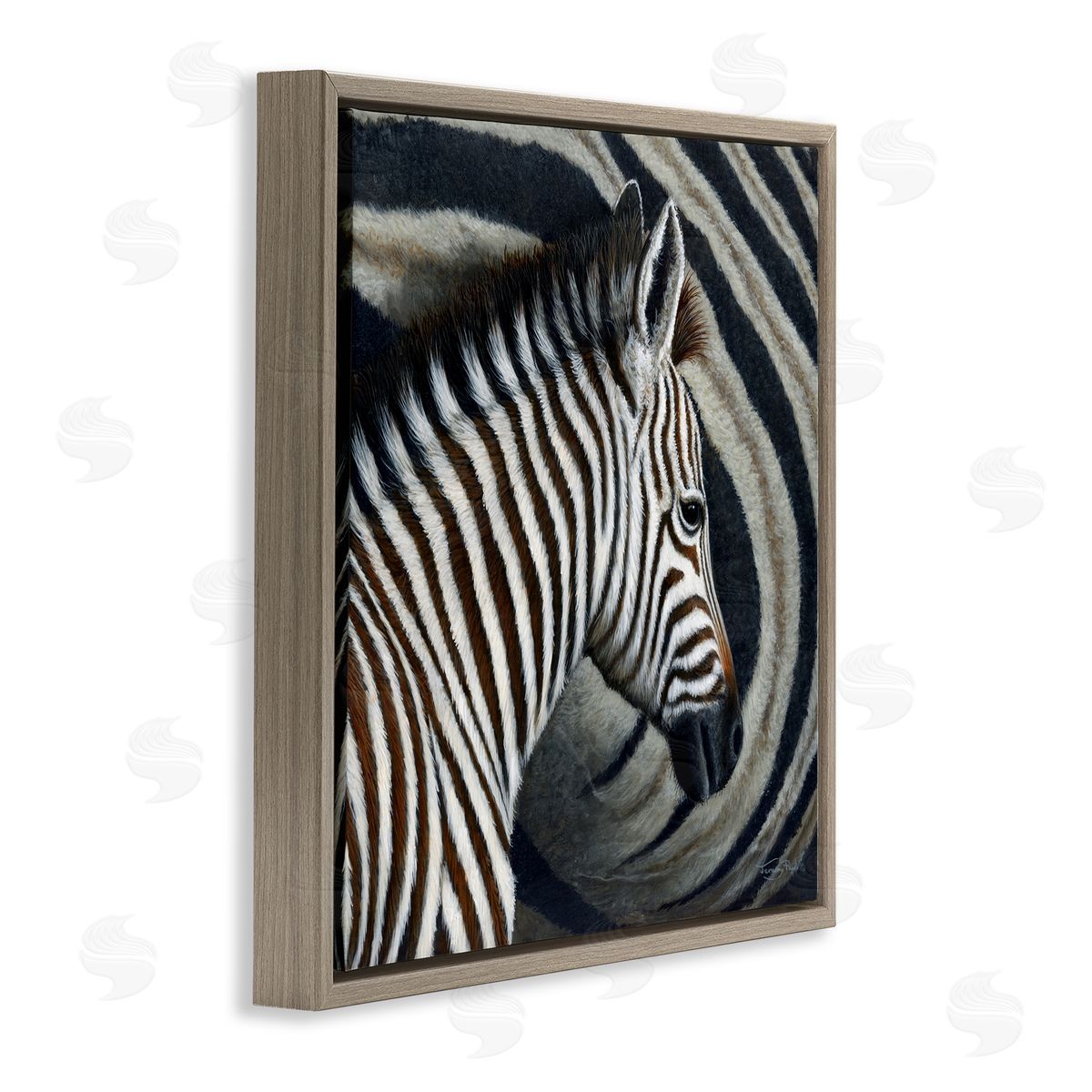Jeremy Paul Keeping Close Zebra Stripes Canvas Wall Art Print