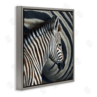 Jeremy Paul | Keeping Close Zebra Stripes
