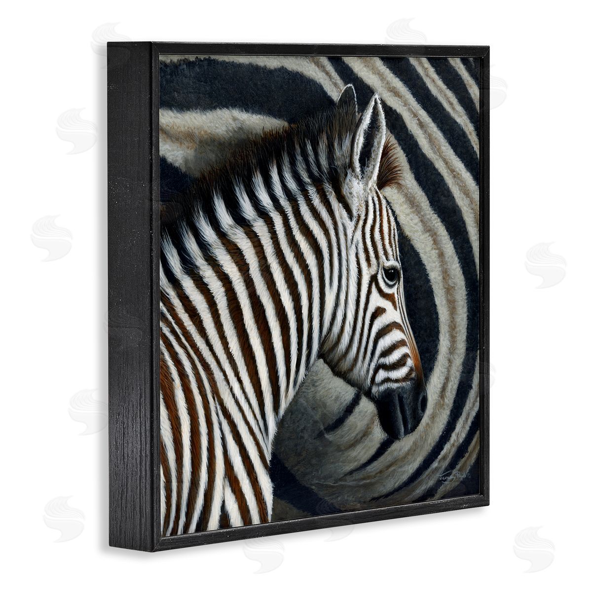 Jeremy Paul Keeping Close Zebra Stripes Canvas Wall Art Print
