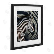 Jeremy Paul | Keeping Close Zebra Stripes