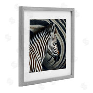 Jeremy Paul | Keeping Close Zebra Stripes
