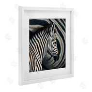 Jeremy Paul | Keeping Close Zebra Stripes