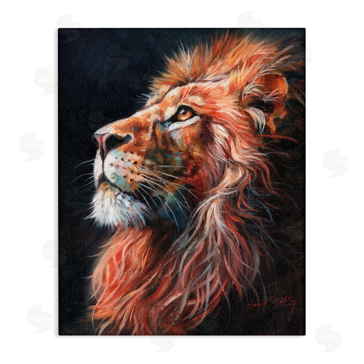 David Stribbling Look Of The Lion Canvas Wall Art Print