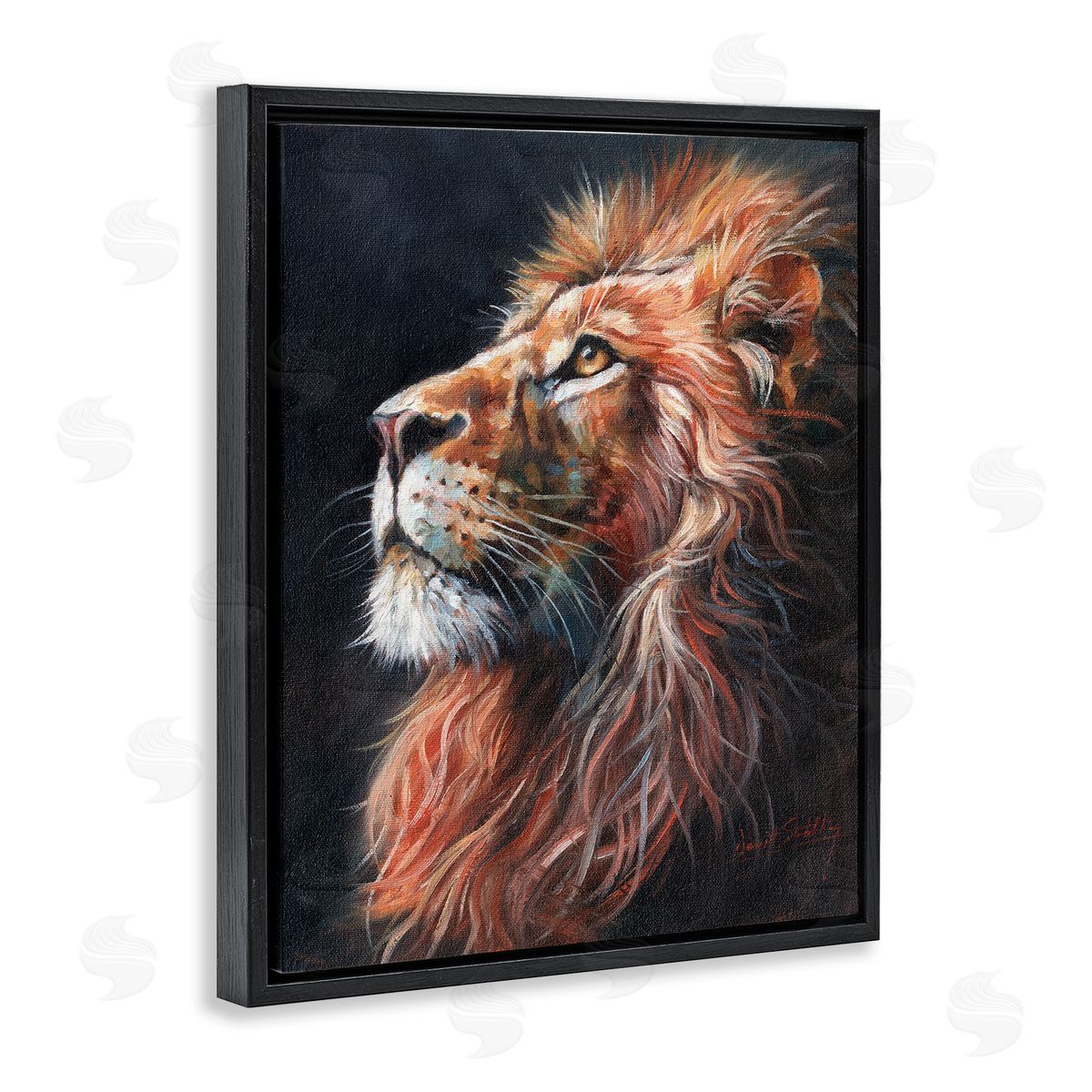 David Stribbling Look Of The Lion Canvas Wall Art Print