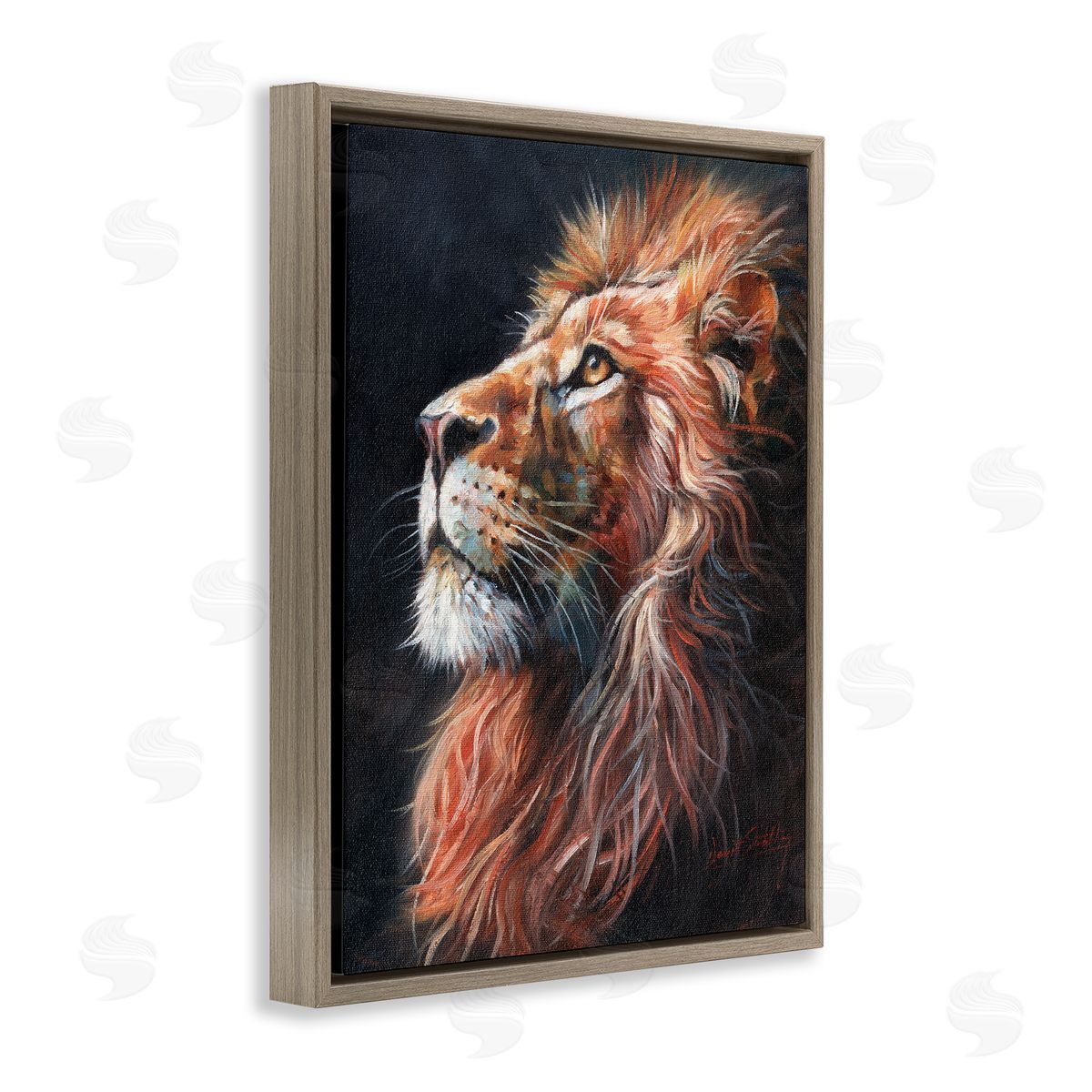 David Stribbling Look Of The Lion Canvas Wall Art Print