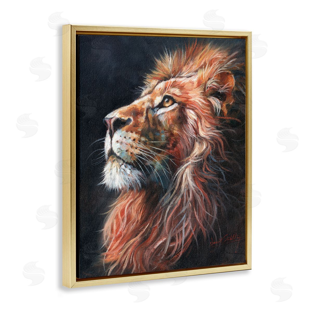 David Stribbling Look Of The Lion Canvas Wall Art Print