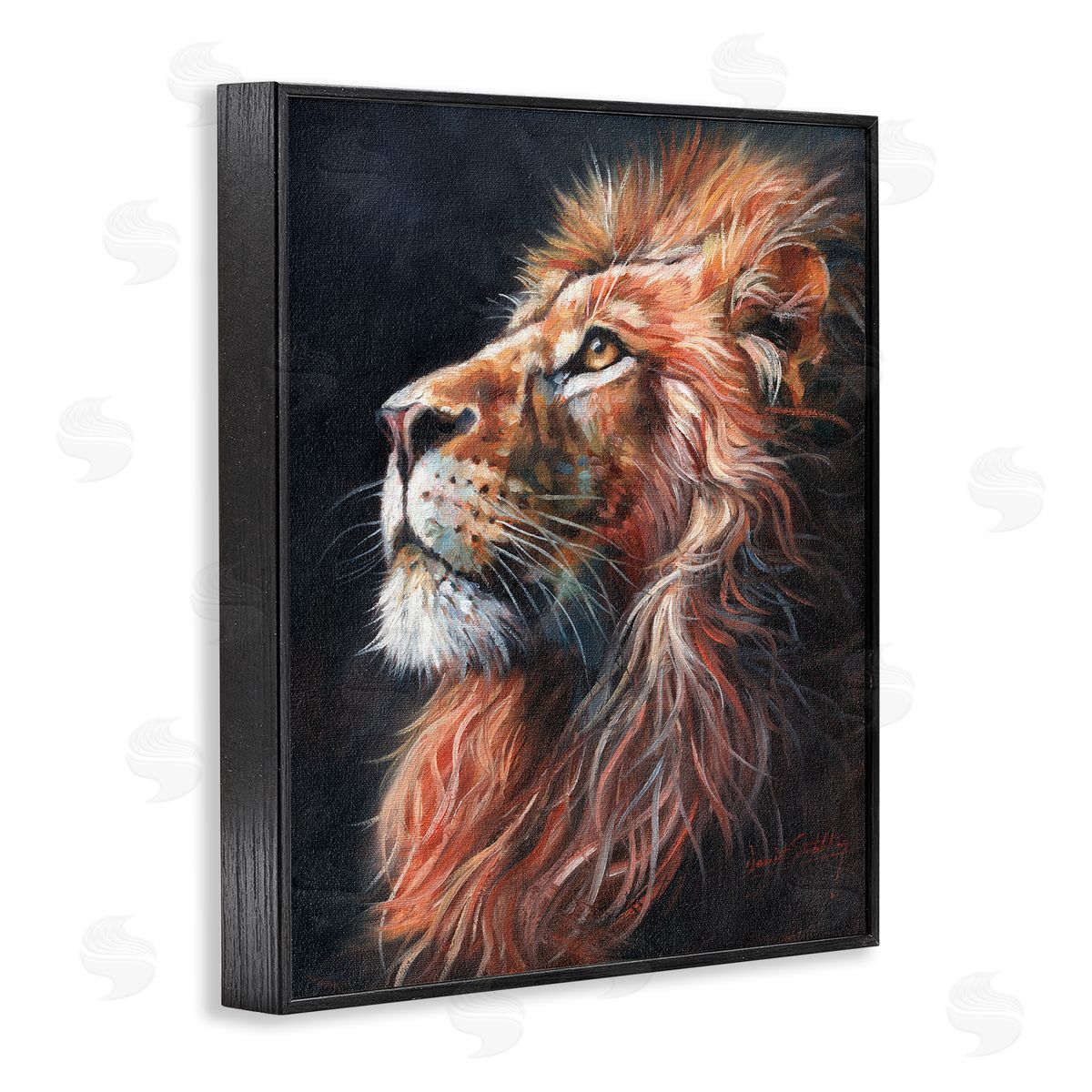 David Stribbling Look Of The Lion Canvas Wall Art Print