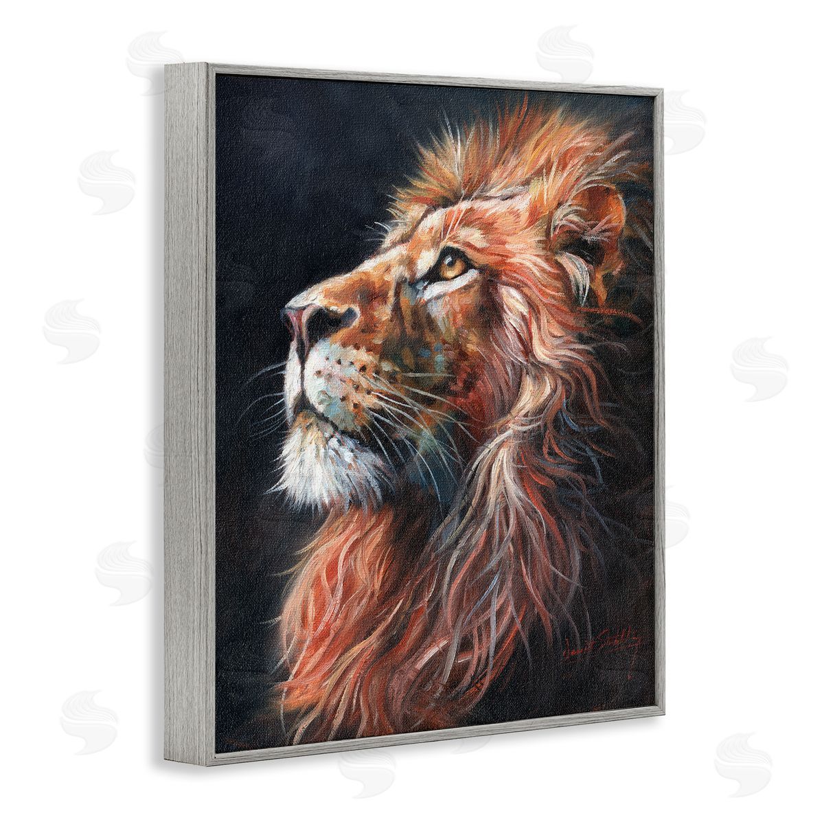 David Stribbling Look Of The Lion Canvas Wall Art Print