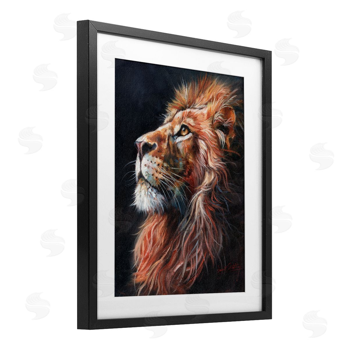David Stribbling Look Of The Lion Canvas Wall Art Print