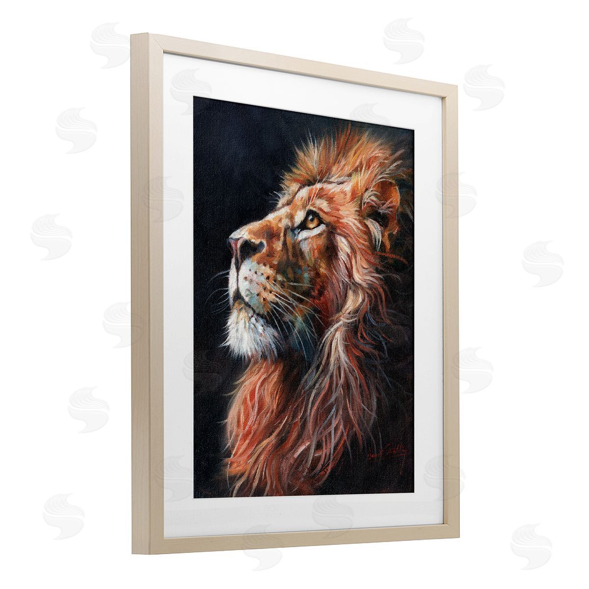 David Stribbling Look Of The Lion Canvas Wall Art Print