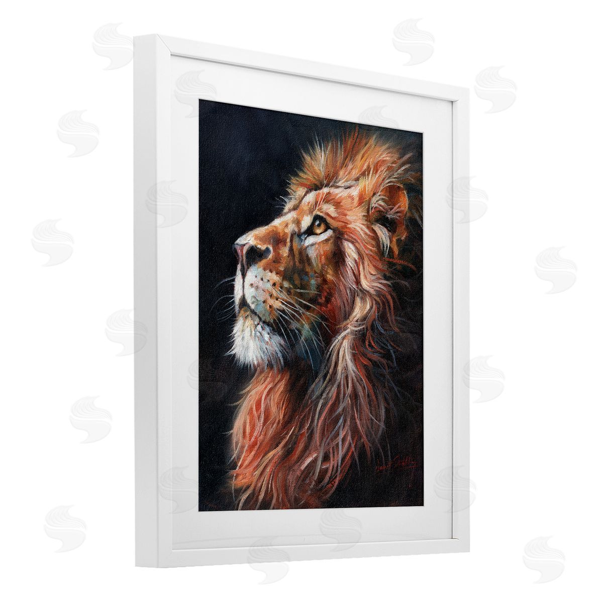 David Stribbling Look Of The Lion Canvas Wall Art Print