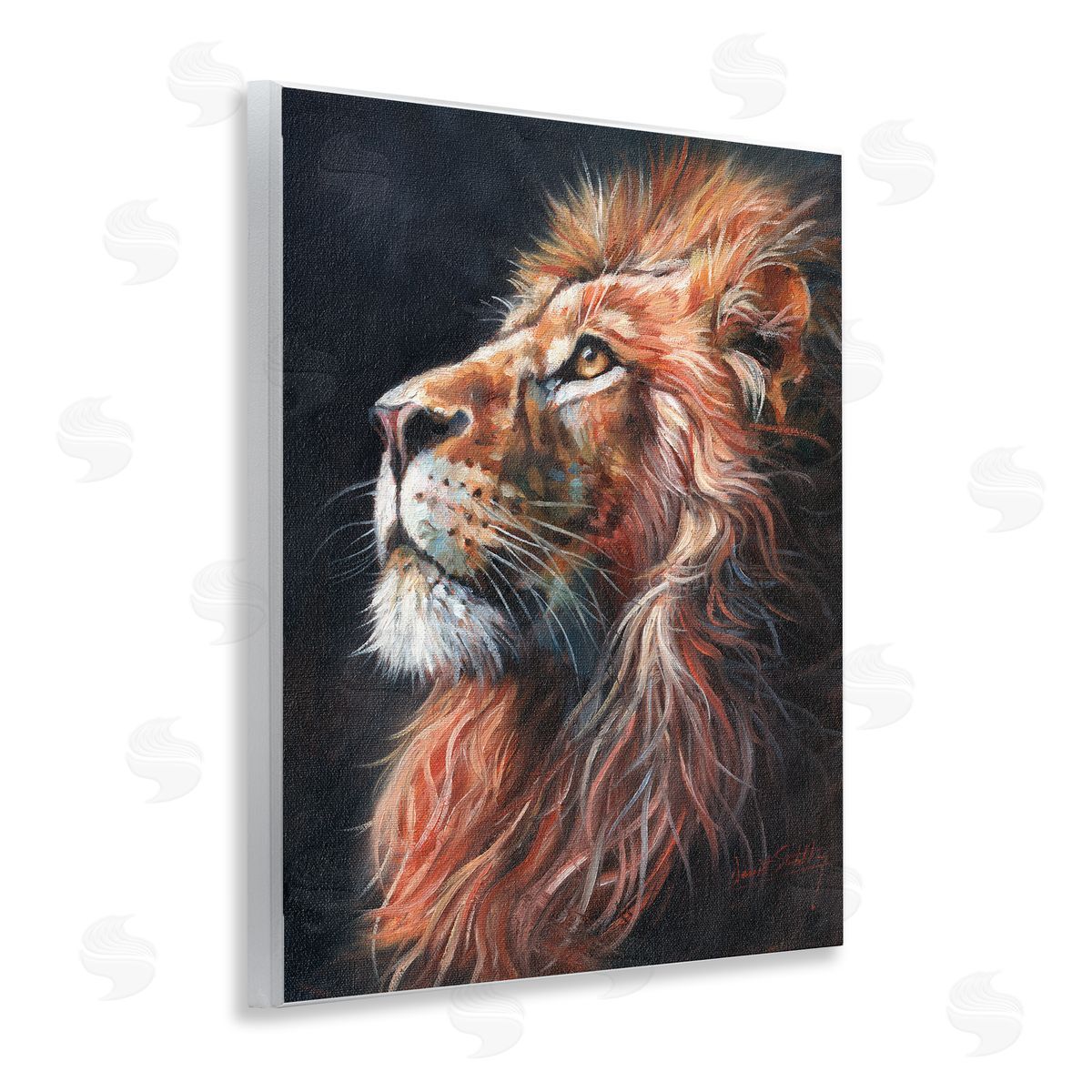 David Stribbling Look Of The Lion Canvas Wall Art Print