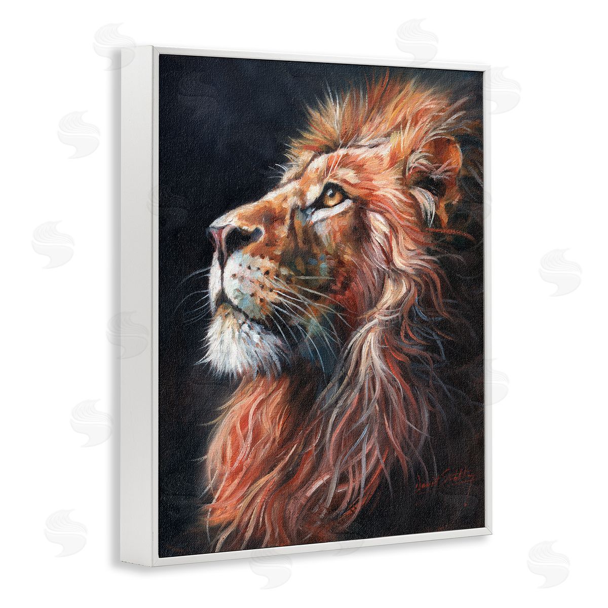 David Stribbling Look Of The Lion Canvas Wall Art Print