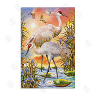 Rosiland Solomon | Sandhill Cranes at Sunset