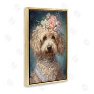 Wumples | Fancy Labradoodle Portrait
