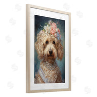 Wumples | Fancy Labradoodle Portrait