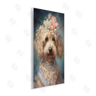 Wumples | Fancy Labradoodle Portrait