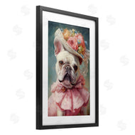 Wumples | Feminine Regal Frenchie