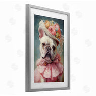 Wumples | Feminine Regal Frenchie