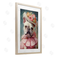 Wumples | Feminine Regal Frenchie