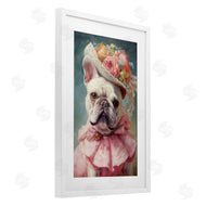 Wumples | Feminine Regal Frenchie