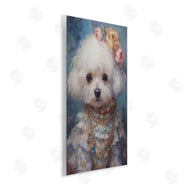 Wumples | Victorian Era Bichon Frise