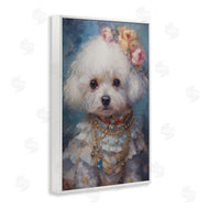 Wumples | Victorian Era Bichon Frise