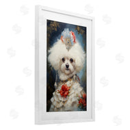 Wumples | Bichon Frise Victorian Era