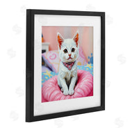 Tabz Jones | Diamonds & Cuddles Kitten