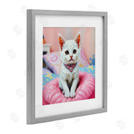 Tabz Jones | Diamonds & Cuddles Kitten