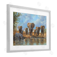 David Stribbling | Gathering Of Giants Scene