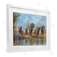 David Stribbling | Gathering Of Giants Scene