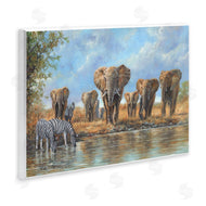 David Stribbling | Gathering Of Giants Scene
