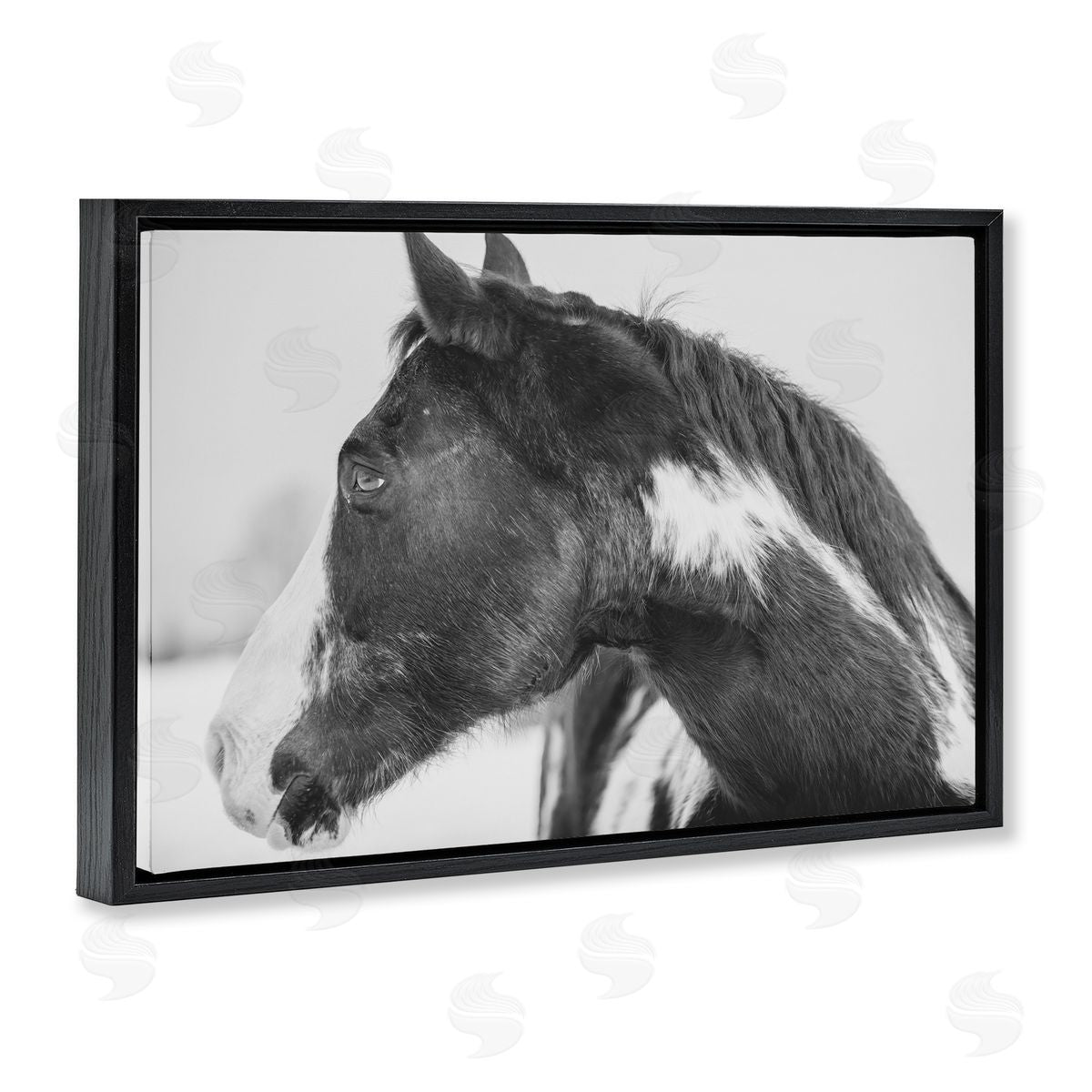 Amy Carroll Draisma Horse Looking Left Canvas Wall Art Print