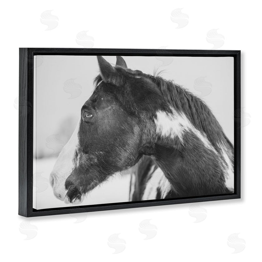 Amy Carroll | Draisma Horse Looking Left