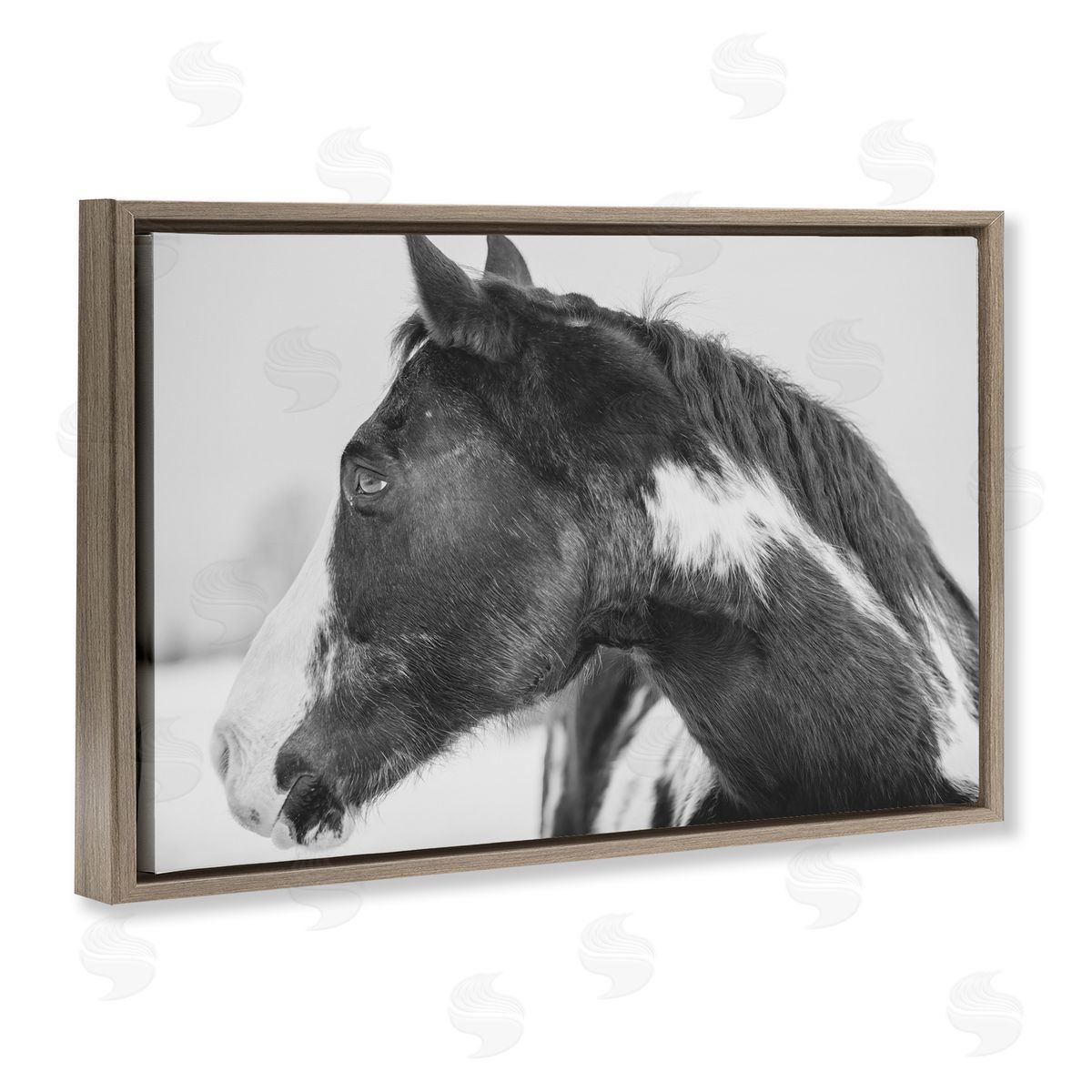 Amy Carroll Draisma Horse Looking Left Canvas Wall Art Print