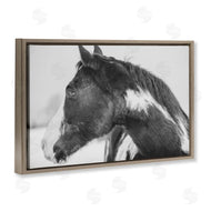 Amy Carroll | Draisma Horse Looking Left