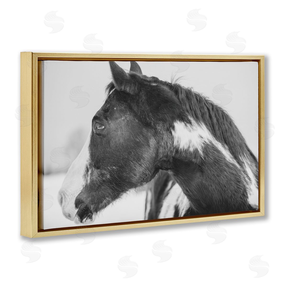Amy Carroll Draisma Horse Looking Left Canvas Wall Art Print